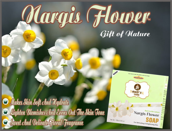 Nargis Flower